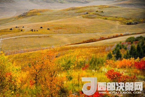 錫林郭勒草原國(guó)家級(jí)自然保護(hù)區(qū)。吳勇攝