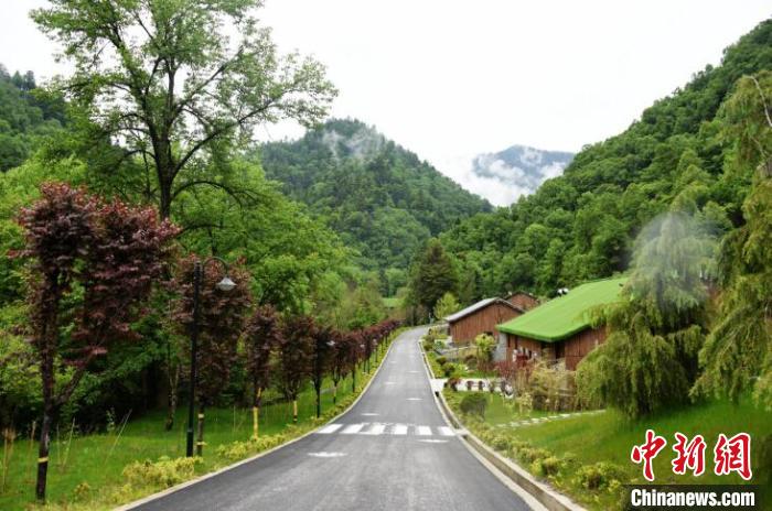 九寨溝熊貓園外景?！【耪瘻峡h委宣傳部提供 攝