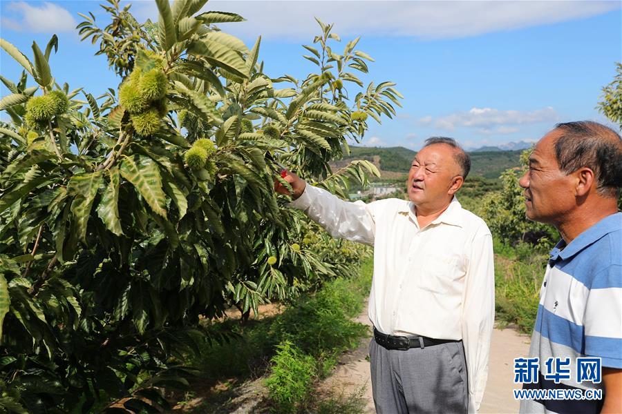 （新華全媒頭條·走向我們的小康生活·圖文互動）（11）長城腳下，小康村串成“珍珠鏈”